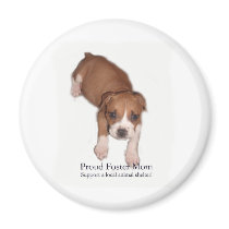 Proud Foster Mom Magnet