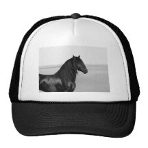 Proud Friesian black stallion horse Hat