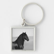 Proud Friesian black stallion horse Keychain