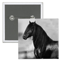 Proud Friesian black stallion horse Pin