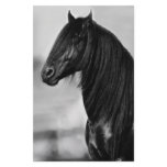Proud Friesian black stallion horse Customized Stationery
