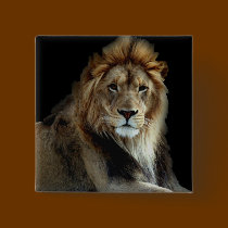 Proud King of the Animal Kingdom buttons