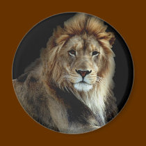 Proud King of the Animal Kingdom magnets
