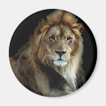 Proud King of the Animal Kingdom Magnet