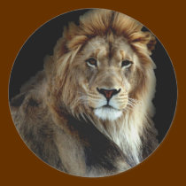 Proud King of the Animal Kingdom stickers