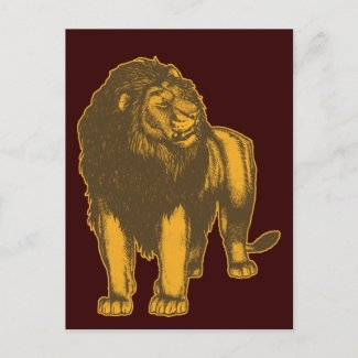 Proud Lion Postcard postcard