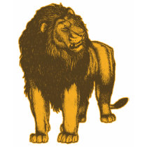 Proud Lion Women Apparel t-shirts by we_the_animals Proud Lion Women Apparel t-shirts