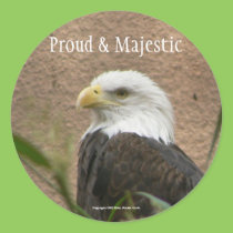 Proud & Majestic stickers