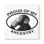 Proud Of My Ancestry Chimp Refrigerator Magnet