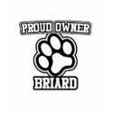 Proud Owner of a Briard t-shirts