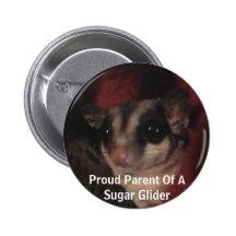 Proud Parent Of A Sugar Glider Pins