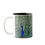 Proud Peacock mugs
