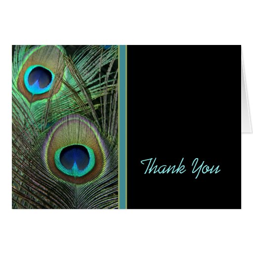 Proud Peacock Thank You Card Zazzle