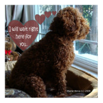 Proud Poodle - Missing You - Poster posters