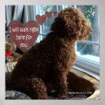 Proud Poodle - Missing You - Poster posters