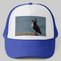 Proud Puffin Hat