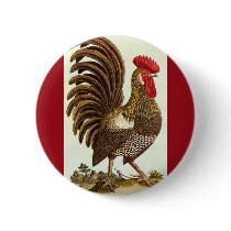 Proud Rooster buttons by Tchotchke Proud Rooster buttons
