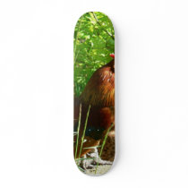 Proud Rooster Chicken Bird Custom Skateboard