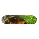 Proud Rooster Custom Skateboard