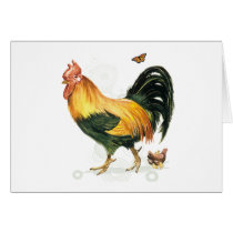 Proud Rooster with hen and chickens. Card