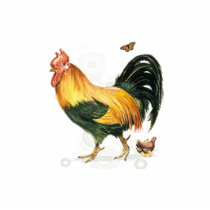 Proud Rooster with hen and chickens. Cut Out