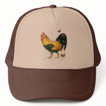 Proud Rooster with hen and chickens. Hats