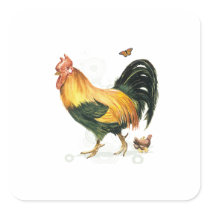 Proud Rooster with hen and chickens. Sticker