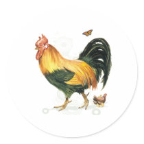 Proud Rooster with hen and chickens. Round Stickers