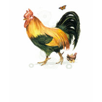 Proud Rooster with hen and chickens. Tank Top