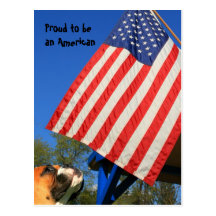 Proud to be an American boxer postcard