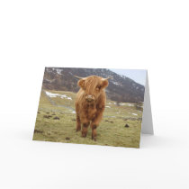 Proud to be Scottish! Greeting Cards