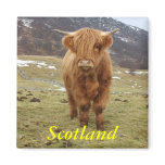 Proud to be Scottish! magnets