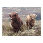Proud to be Scottish! Post Card