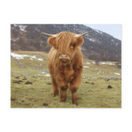 Proud to be Scottish! postcard