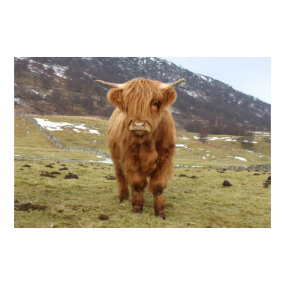 Proud To Be Scottish! print