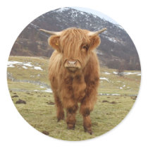 Proud to be Scottish! Stickers