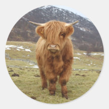 Proud to be Scottish! Stickers