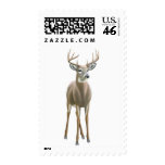 Proud Whitetail Buck Postage