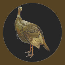 Proud Wild Turkey stickers