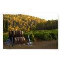 Provence, France posters