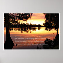 Proverbios 3: 13-18 con Arboles Poster