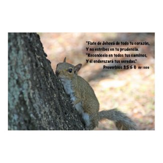 Proverbios 3-5,6 con Ardilla print