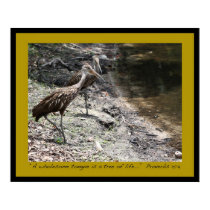 Proverbs 15:4 Scripture Poster posters