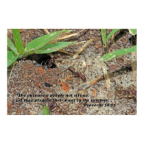 Proverbs 30:25 Scripture Poster posters by cherylarogers Proverbs 30:25 Scripture Poster posters