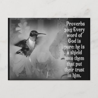 Proverbs 30:5 BIBLE SCRIPTURE with Hummingbird postcard