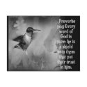 Proverbs 30:5 BIBLE SCRIPTURE with Hummingbird postcards by scriptures Proverbs 30:5 BIBLE SCRIPTURE with Hummingbird postcards
