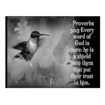 Proverbs 30:5 BIBLE SCRIPTURE with Hummingbird Post Cards