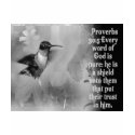 Proverbs 30:5 BIBLE SCRIPTURE with Hummingbird t-shirts by scriptures Proverbs 30:5 BIBLE SCRIPTURE with Hummingbird t-shirts
