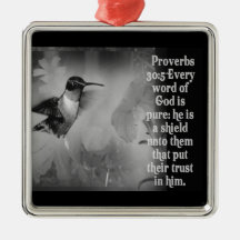 PROVERBS 30:5 ORNAMENT GOD IS A SHIELD
