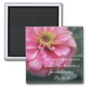 Proverbs 31 Collection ~ Pro 31:10 magnet